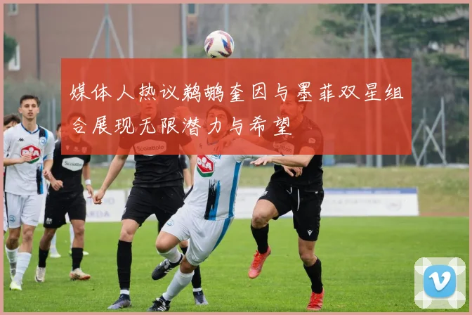 媒体人热议鹈鹕奎因与墨菲双星组合展现无限潜力与希望