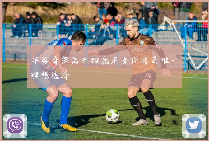 字母哥若离开雄鹿尼克斯将是唯一理想选择