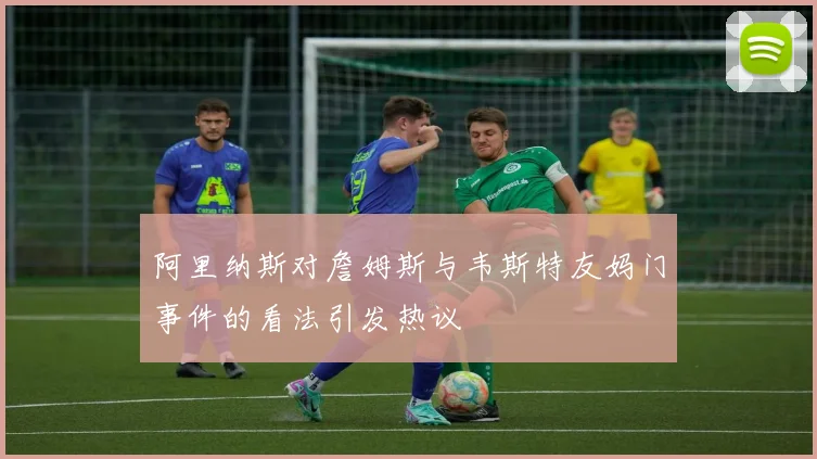 阿里纳斯对詹姆斯与韦斯特友妈门事件的看法引发热议