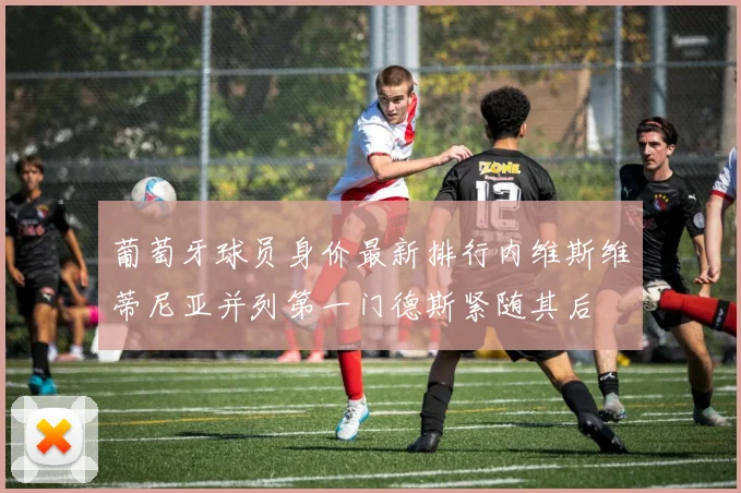 葡萄牙球员身价最新排行内维斯维蒂尼亚并列第一门德斯紧随其后